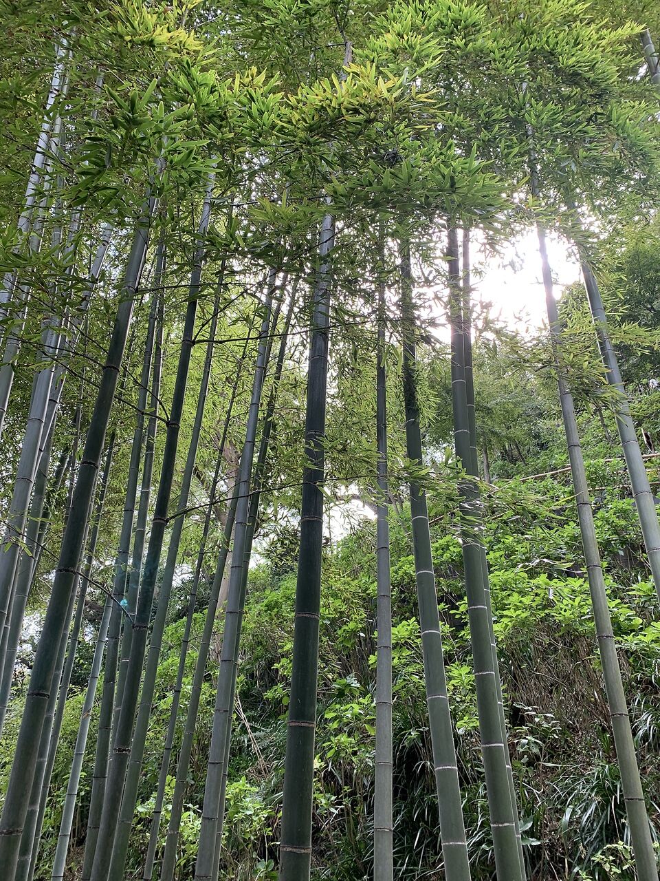 私の癒しの場所★